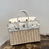 HERMES BIRKIN 25 PICNIC